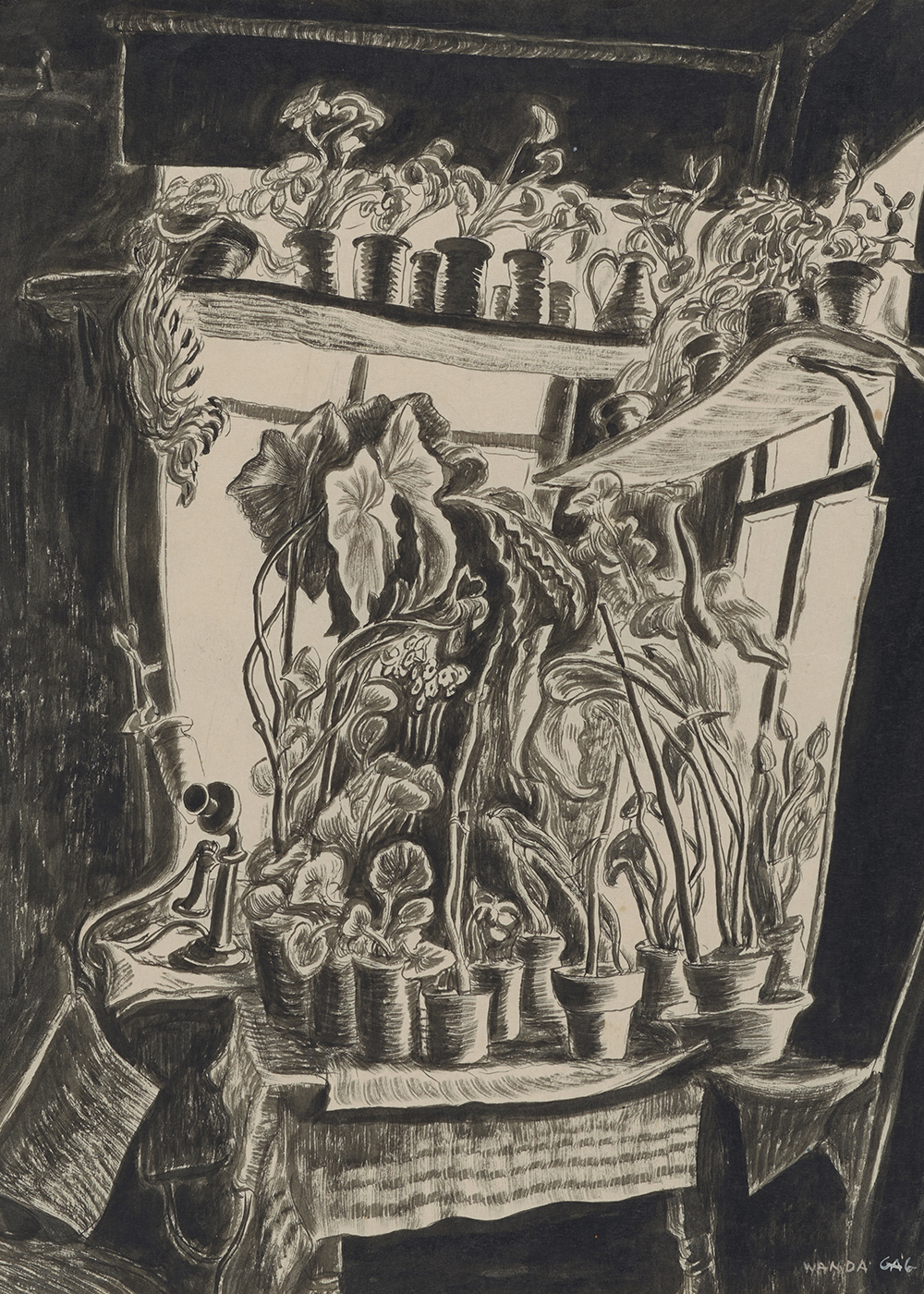 Wanda Gág, Alfie's Flowers (Window Plants), 1927