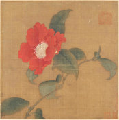 unknown Chinese artist, Ming Dynasty - Red Camellia, 1368-1644