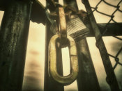 Alexander C. - Chain and Lock on Fence, 2018