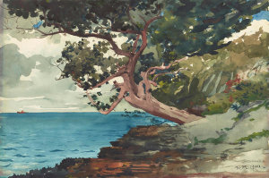 Winslow Homer - Bermuda, 1900