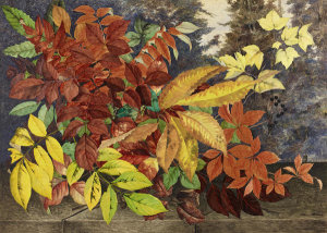 Ellen Robbins - Autumn Leaves, c. 1870