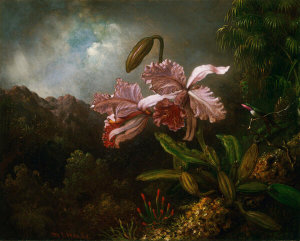 Martin Johnson Heade - Orchids in a Jungle, c. 1871–1874