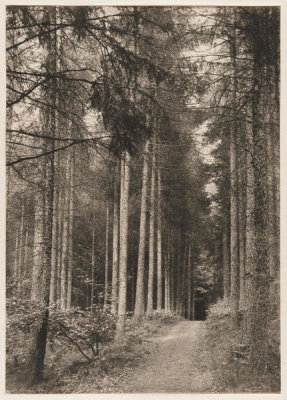 Frederick H. Evans - "Enter These Enchanted Woods," George Meredith, 1894