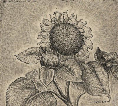 Wanda Gág - Sunflower, 1929