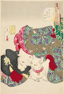 Tsukioka Yoshitoshi - Noisy: A Young Woman of the Kansei Period with a Purring Cat, 1888