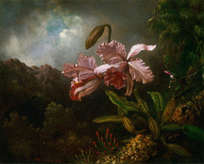 Martin Johnson Heade - Orchids in a Jungle, c. 1871–1874